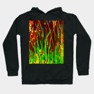 Vegetal - Nature and landscape Hoodie